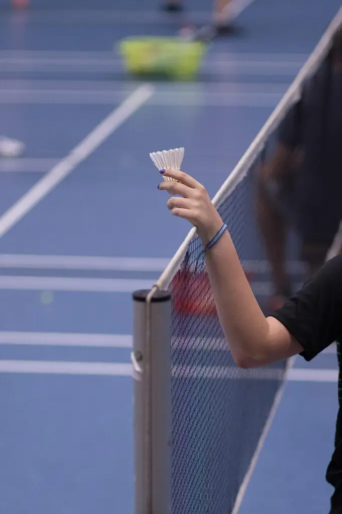 badminton, sports, leisure time, activity, badminton, badminton, badminton, badminton, badminton